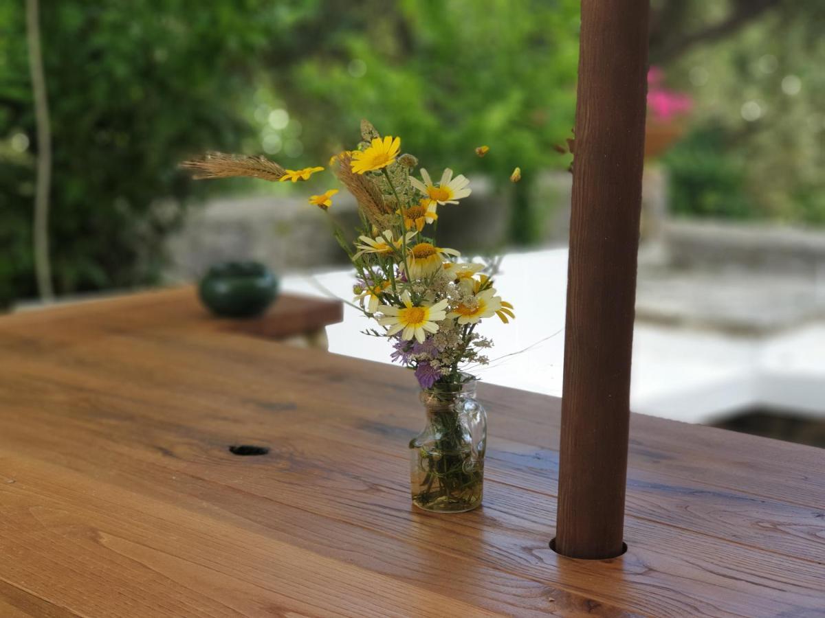 L'Antico Ulivo Βίλα Santa Cesarea Terme Εξωτερικό φωτογραφία