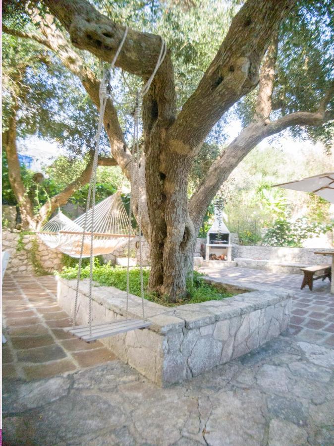 L'Antico Ulivo Βίλα Santa Cesarea Terme Εξωτερικό φωτογραφία