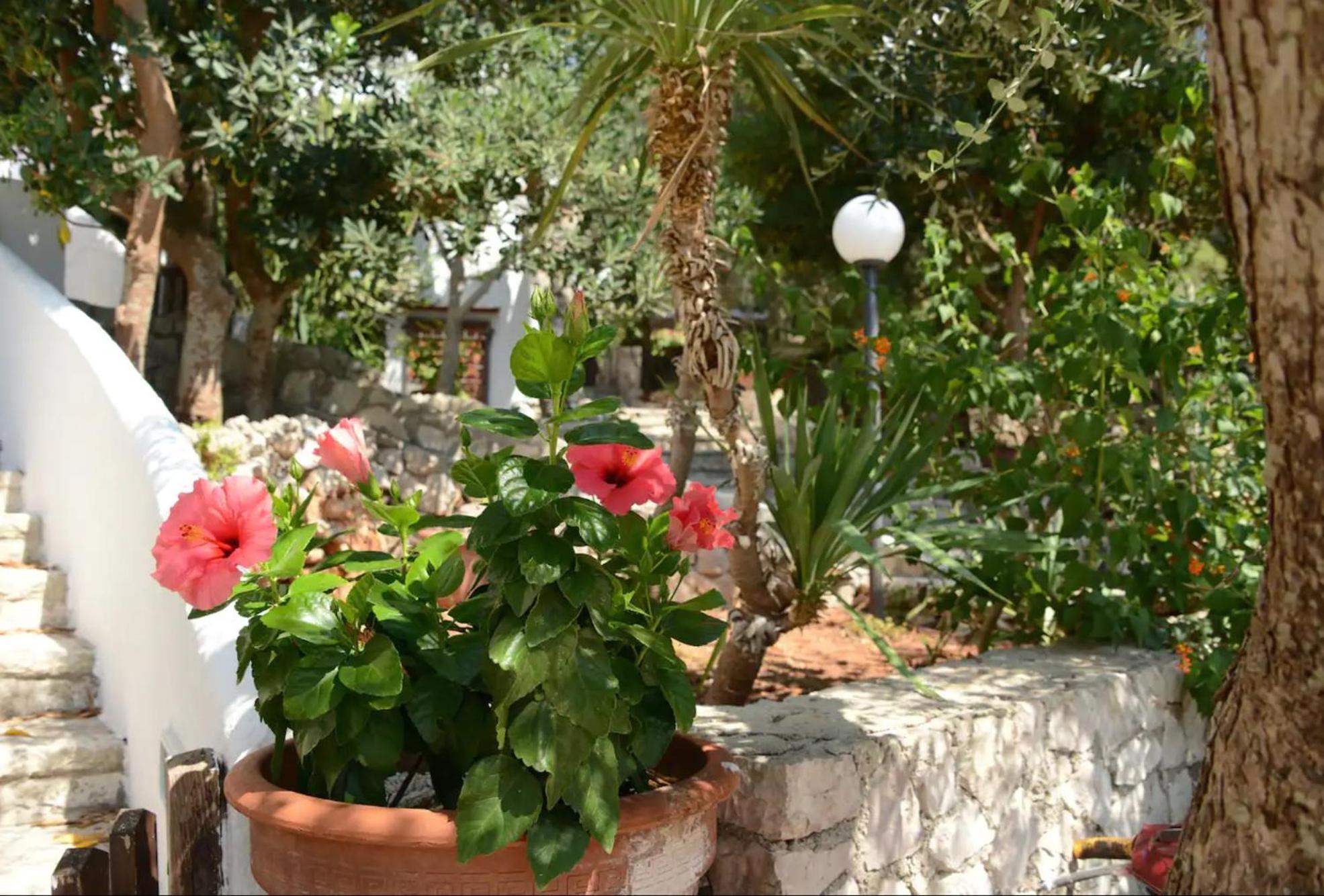 L'Antico Ulivo Βίλα Santa Cesarea Terme Εξωτερικό φωτογραφία