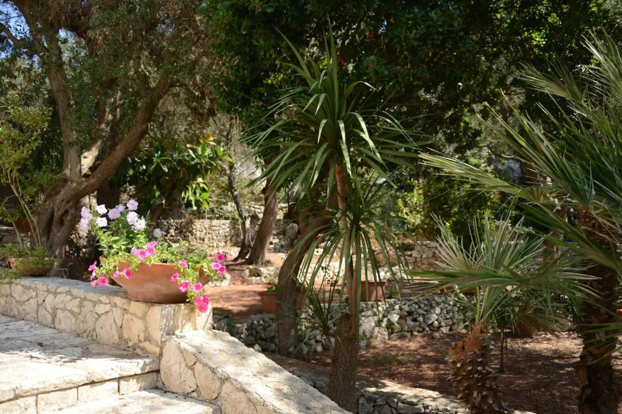 L'Antico Ulivo Βίλα Santa Cesarea Terme Εξωτερικό φωτογραφία