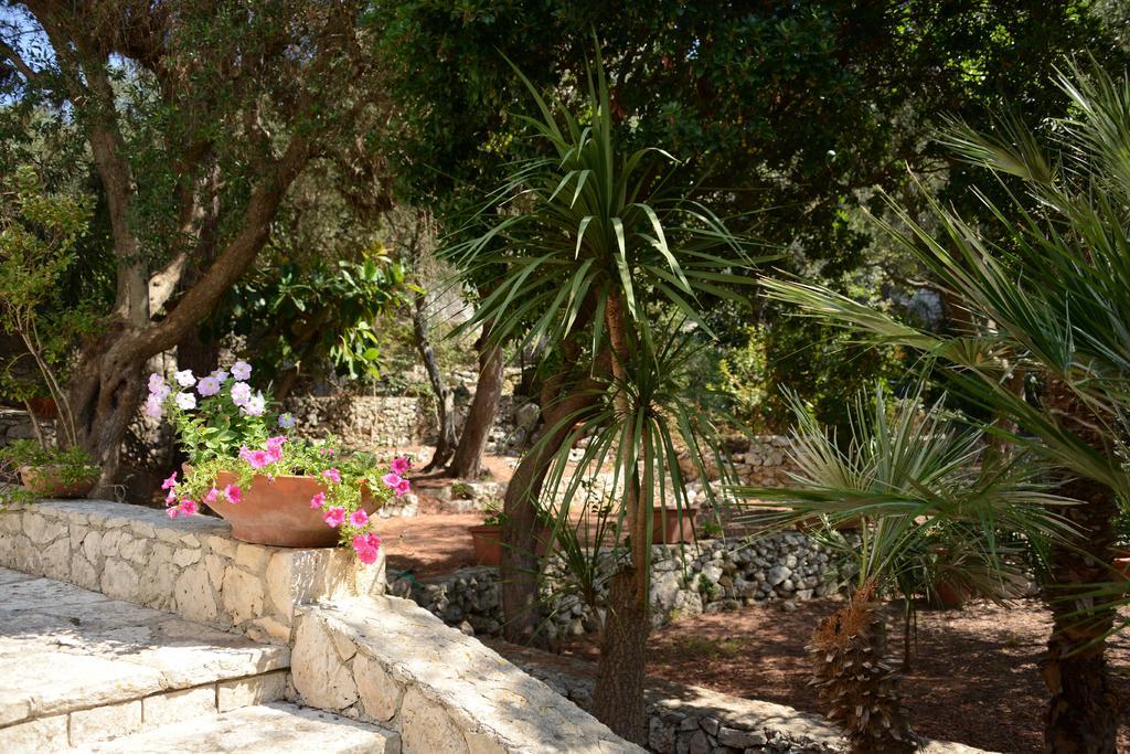 L'Antico Ulivo Βίλα Santa Cesarea Terme Εξωτερικό φωτογραφία